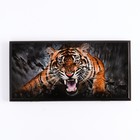 Нарды "Оскал тигра", деревянная доска 40 x 40 см, с полем для игры в шашки - фото 3760185