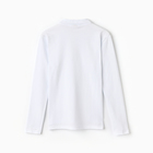 Лонгслив поло мужской MINAKU: Casual Collection MAN, размер 44, белый - Фото 9