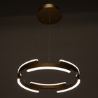 Люстра с ПДУ 1510/1 LED 25Вт 3000-6000К золото 40х40х106 см BayerLux - Фото 5