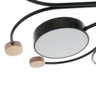 Люстра 1314/5BK LED 120 Вт 3000-6000К черный 90×90×15 см BayerLux - фото 49532631