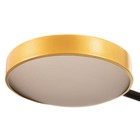 Люстра 1851/7 LEd=72 Вт 3000-6000К черно-золотой 79×77×43 см BayerLux - Фото 8