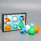 Набор мячей для собак «Самый ловкий, самый быстрый», 5 шт. - фото 804654185