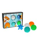 Набор мячей для собак «Самый ловкий, самый быстрый», 5 шт. - фото 804654187