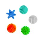 Набор мячей для собак «Самый ловкий, самый быстрый», 5 шт. - фото 804654188