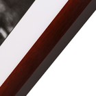 Картина "Роза на камнях" 35х35(39х39) см 7514718