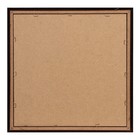 Картина "Роза на камнях" 35х35(39х39) см 7514718