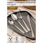 Набор столовых приборов «Мэй», 24 предмета - фото 804654795