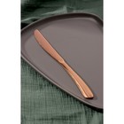 Нож столовый из нержавеющей стали Magistro «Эми», длина 22,5 см, на подвесе, цвет бронзовый - фото 9466894