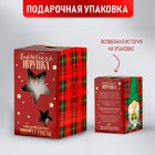 Волшебная игрушка «Гномик Арчи», 25см с подсветкой 6968650 - фото 16359106