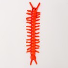 Липучка «Гусеница», цвета МИКС - Фото 5