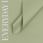 Плёнка в листах для цветов и декора, зеленый, 58×58 см - Фото 1