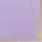 Плёнка для цветов, лиловый 58 x 58 см - Фото 3