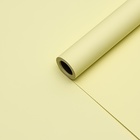 Плёнка матовая 0,5 x 10 м 65 мкм, пастельная серия, желтый - фото 7543575