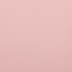 Плёнка матовая для цветов и букетов, 0.5×10 м 65 мкм, пастельная серия, чайная роза - Фото 4