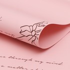 Пленка в листах, "Мысли о тебе.." пудра, 58 х 58 см (комплект 20 шт) - фото 21836775