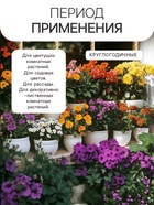 Гидрогель «Рецепты Дедушки Никиты», песок, 20 г - Фото 2