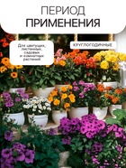 Гидрогель «Рецепты Дедушки Никиты», песок, 50 г - Фото 2