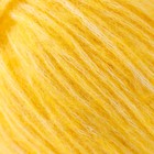 Пряжа "Фиджи" 20% меринос. шерсть, 60% хлопок, 20% акрил 95м/50гр (12, желток) - Фото 3
