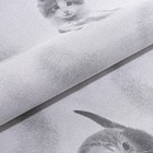 Бумажные обои Котята 255-01, 0,53х10,05м, серый - Фото 4