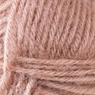Пряжа "Angora Real 40 Plus" 40% шерсть, 60% акрил 225м/100гр (541) - фото 31313463