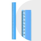 Набор пластиковых линеек Calligrata, 4 штуки (15, 20, 25 и 30 см), прозрачные, МИКС - Фото 2