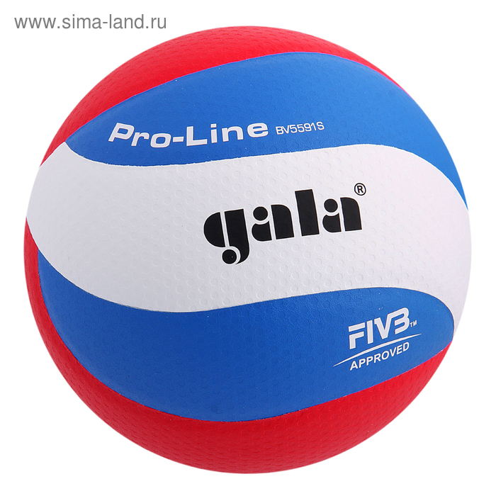 Мяч волейбольный Gala Pro-Line 10 FIVB, BV5591S, размер 5, клееный - Фото 1