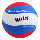 Мяч волейбольный Gala Pro-Line10, BV5581S, синтетическая кожа, микрофибра, клееный, 10 панелей, р. 5 - фото 8387256