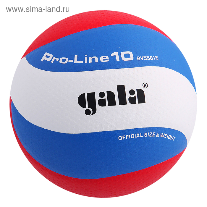 Мяч волейбольный Gala Pro-Line10, BV5581S, синтетическая кожа, микрофибра, клееный, 10 панелей, р. 5 - Фото 1