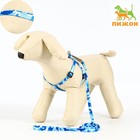 Комплект "Камуфляж", ширина 1 см,шлейка 21-35 см,поводок 120 см,капрон,капрон, сине-голубой - Фото 1