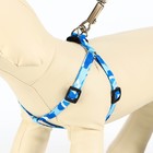 Комплект "Камуфляж", ширина 1 см,шлейка 21-35 см,поводок 120 см,капрон,капрон, сине-голубой - Фото 2