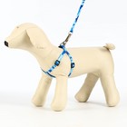 Комплект "Камуфляж", ширина 1 см,шлейка 21-35 см,поводок 120 см,капрон,капрон, сине-голубой - Фото 3