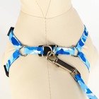 Комплект "Камуфляж", ширина 1 см,шлейка 21-35 см,поводок 120 см,капрон,капрон, сине-голубой - Фото 4