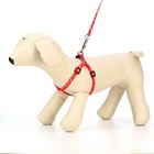 Комплект «Классика», капрон, поводок 120×1 см, ОГ 21-35 см, красный - Фото 2