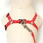 Комплект «Классика», капрон, поводок 120×1 см, ОГ 21-35 см, красный - Фото 4