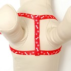 Комплект «Классика», капрон, поводок 120×1 см, ОГ 21-35 см, красный - Фото 5