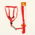 Комплект «Классика», капрон, поводок 120×1 см, ОГ 21-35 см, красный - Фото 6