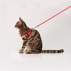 Комплект «Классика», капрон, поводок 120×1 см, ОГ 21-35 см, красный - Фото 7