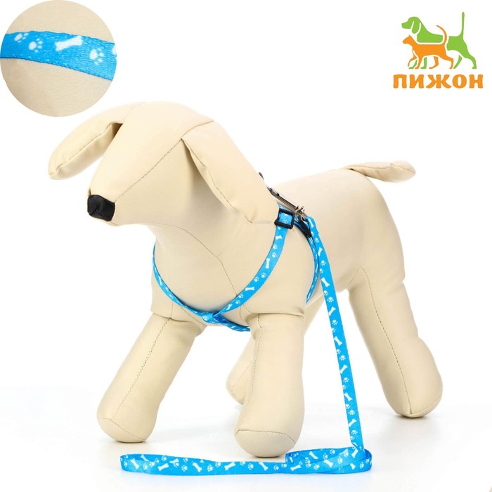 Комплект "Классика", капрон, поводок 120 х 1 см, ОГ 21-35 см, голубой - Фото 1