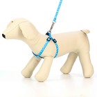 Комплект "Классика", капрон, поводок 120 х 1 см, ОГ 21-35 см, голубой - Фото 2