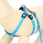 Комплект "Классика", капрон, поводок 120 х 1 см, ОГ 21-35 см, голубой - Фото 3