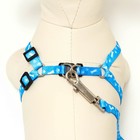 Комплект "Классика", капрон, поводок 120 х 1 см, ОГ 21-35 см, голубой - Фото 4