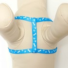 Комплект "Классика", капрон, поводок 120 х 1 см, ОГ 21-35 см, голубой - Фото 5