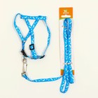 Комплект "Классика", капрон, поводок 120 х 1 см, ОГ 21-35 см, голубой - Фото 6