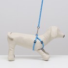 Комплект "Классика", капрон, поводок 120 х 1 см, ОГ 21-35 см, голубой - Фото 7