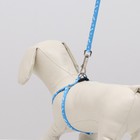 Комплект "Классика", капрон, поводок 120 х 1 см, ОГ 21-35 см, голубой - Фото 8