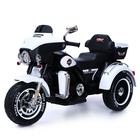 Электромотоцикл «Трайк», 2-х местный, 2 мотора, цвет чёрно-белый - фото 51036082