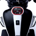 Электромотоцикл «Трайк», 2-х местный, 2 мотора, цвет чёрно-белый - фото 3740647