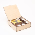 Набор головоломок "Синапсы", для развития логики и мышления, 5 штук - фото 69411595