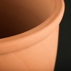 Горшок для цветов «Терра», 3.4 л, d=18.5 см, h=19 см, керамика, с поддоном, цвет терракот - Фото 2