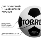 Мяч футбольный TORRES MAIN STREAM, F30184, PU, ручная сшивка, 32 панели, р. 4 - Фото 2